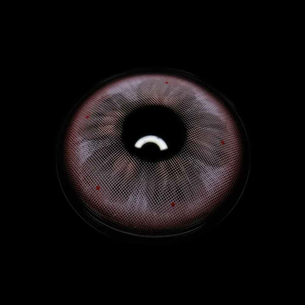 EyeLensy Berry Purple | 1 Year