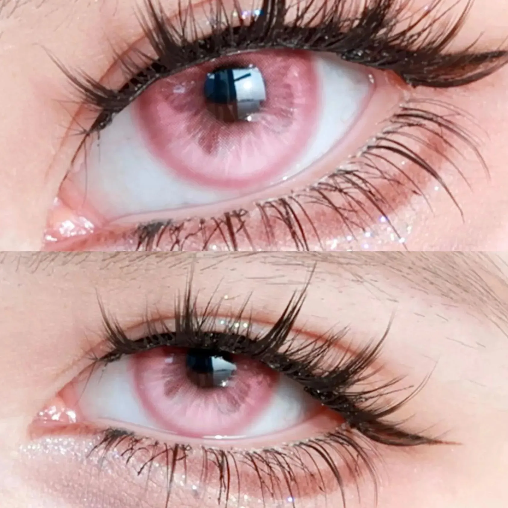 EYELENSY 오션 윙스 핑크 색렌즈 서클렌즈 6개월